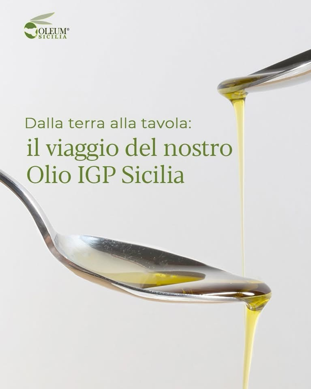 Оливковое масло Olеum Sicilia Kalsar 1л, Сицилия, Италия