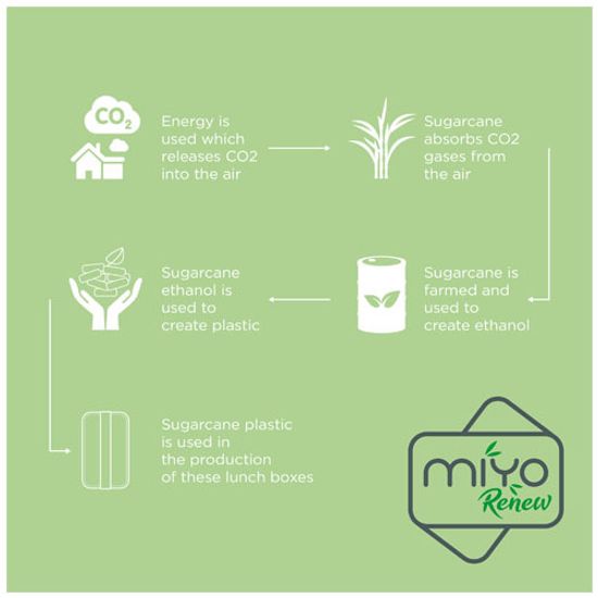 Однослойный пищевой контейнер MIYO Renew