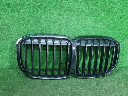 Решетка радиатора BMW X7 G07 (2019-2022)