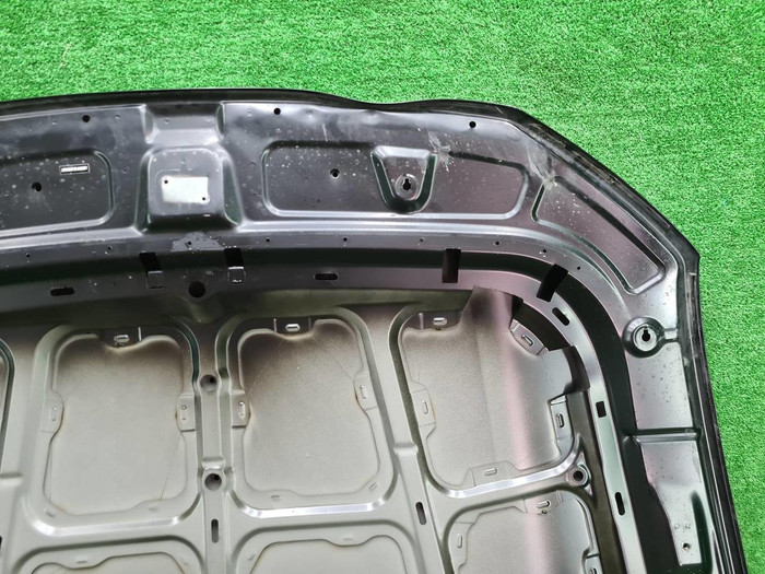 Капот Hongqi HS5 (2019-н.в.)