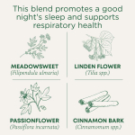 Traditional Medicinals, Organic Cold Care PM, таволга и корица, без кофеина, 16 чайных пакетиков в упаковке, 32 г (1,13 унции)