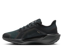 Кроссовки для бега мужские Nike Pegasus 41 Gore-Tex M Чёрные
