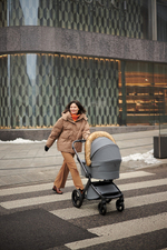 Детская коляска Anex l/type 3 в 1 Frost