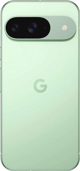 Смартфон Google Pixel 9 128 ГБ Зимний зеленый Wintergreen
