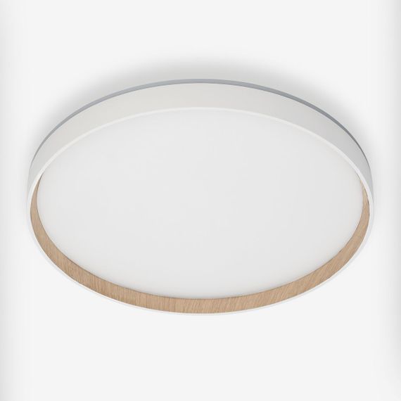 Потолочный светодиодный светильник Citilux Etalon CL750400R