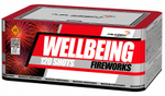 MC127 Wellbeing Fireworks (120 залпов, калибр 0,8)