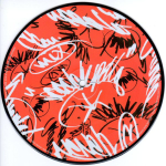Neneh Cherry / Buffalo Stance (Picture Disc)(7" Vinyl Single)