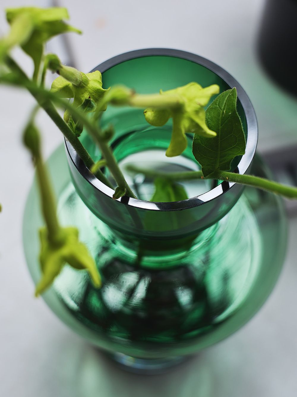 Ваза Florum, 30 см, изумрудная