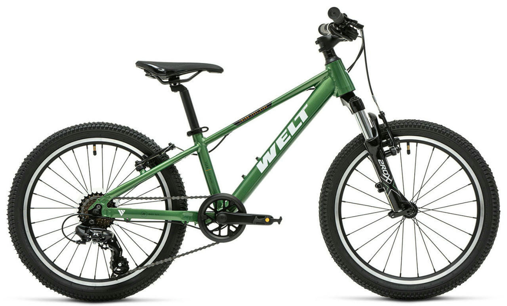 Детский велосипед Welt Brave 1.0 20 V (2025)