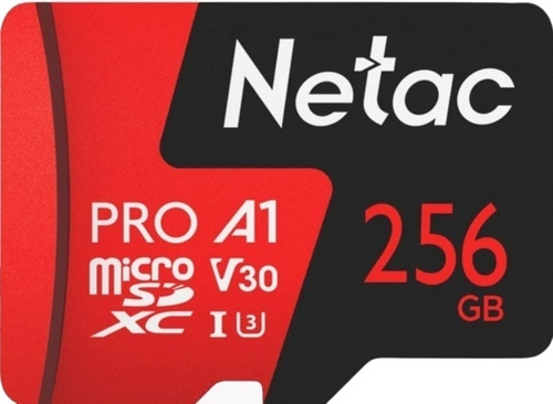 Карта памяти Netac P500 Extreme Pro NT02P500PRO-256G-R 256 Гб