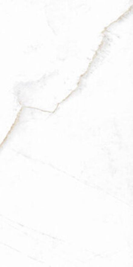 Керамогранит MUSEUM DUAL White EP