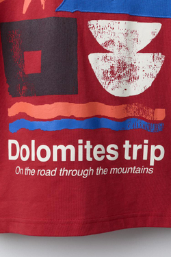 ZARA ФУТБОЛКА С ПРИНТОМ, КРАСНЫЙ