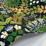 Rifle Paper Co. Second Edition