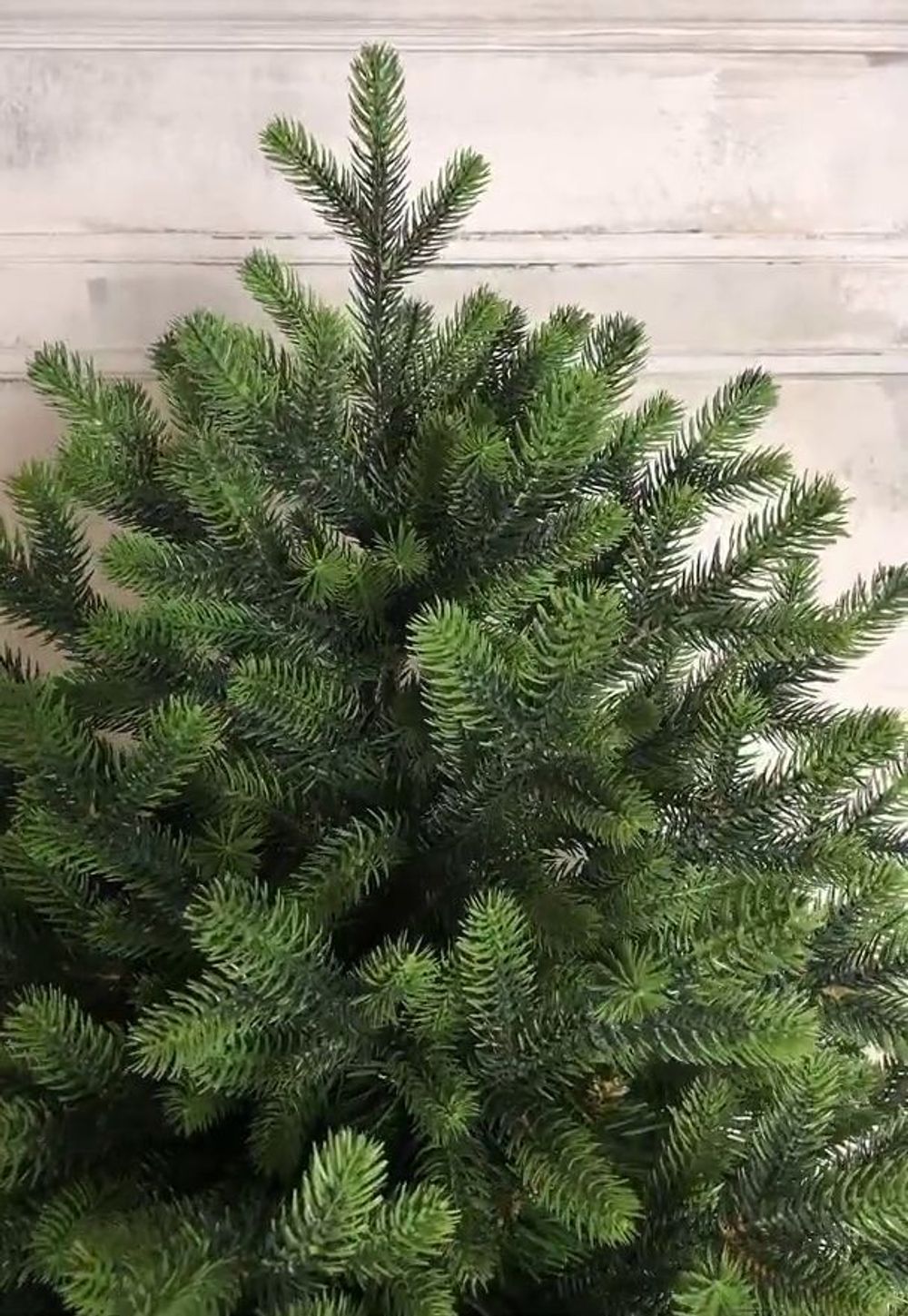 Ель искусственная «Венецианская» (Литая+пвх) 3 м