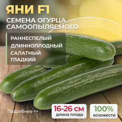 ЯНИ F1 семена огурца (Rijk Zwaan | Alexagro)