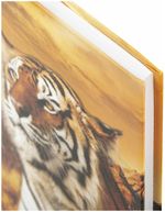 Блокнот МАЛЫЙ ФОРМАТ (110х147 мм) А6, 80 л., твердый переплет, ламинированная обложка, клетка, STAFF, "Тигровый", 120949