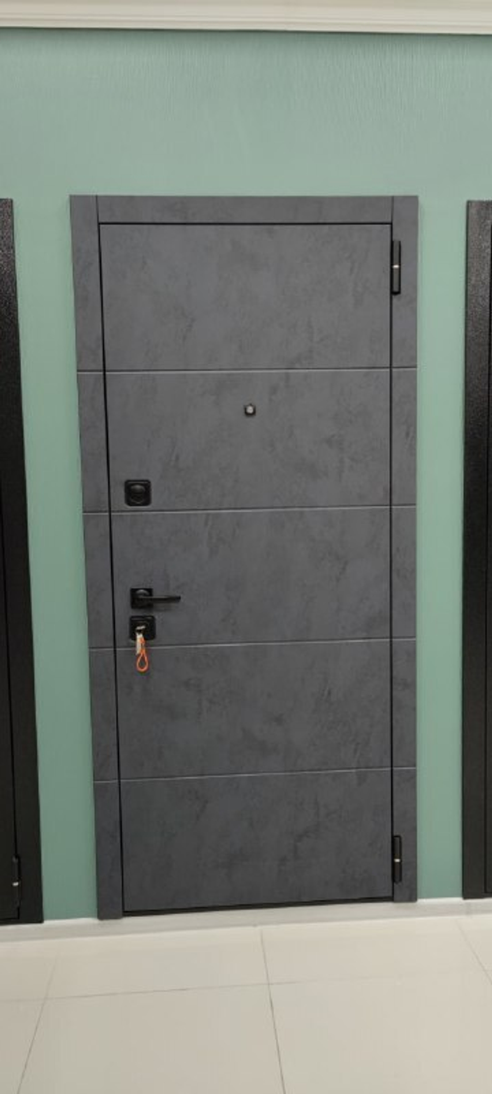 Дверь входная Сканди