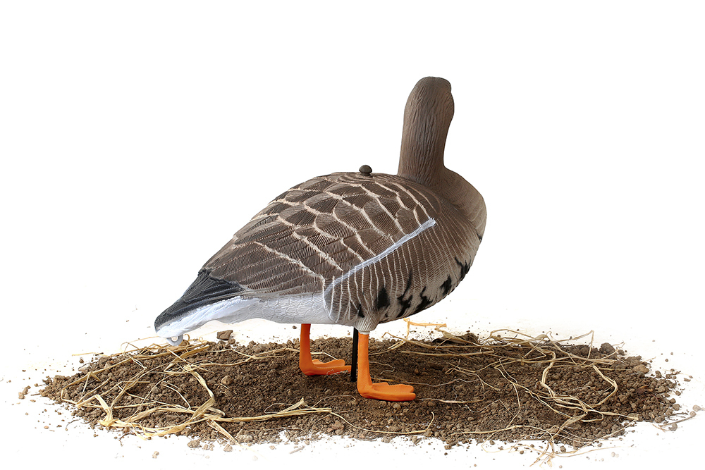 Белолобый гусь Softplast 3D мод. B10S-3D