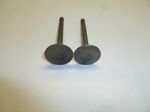 Клапаны впускной/выпускной GX160/Intake; Exhaust valves, kit