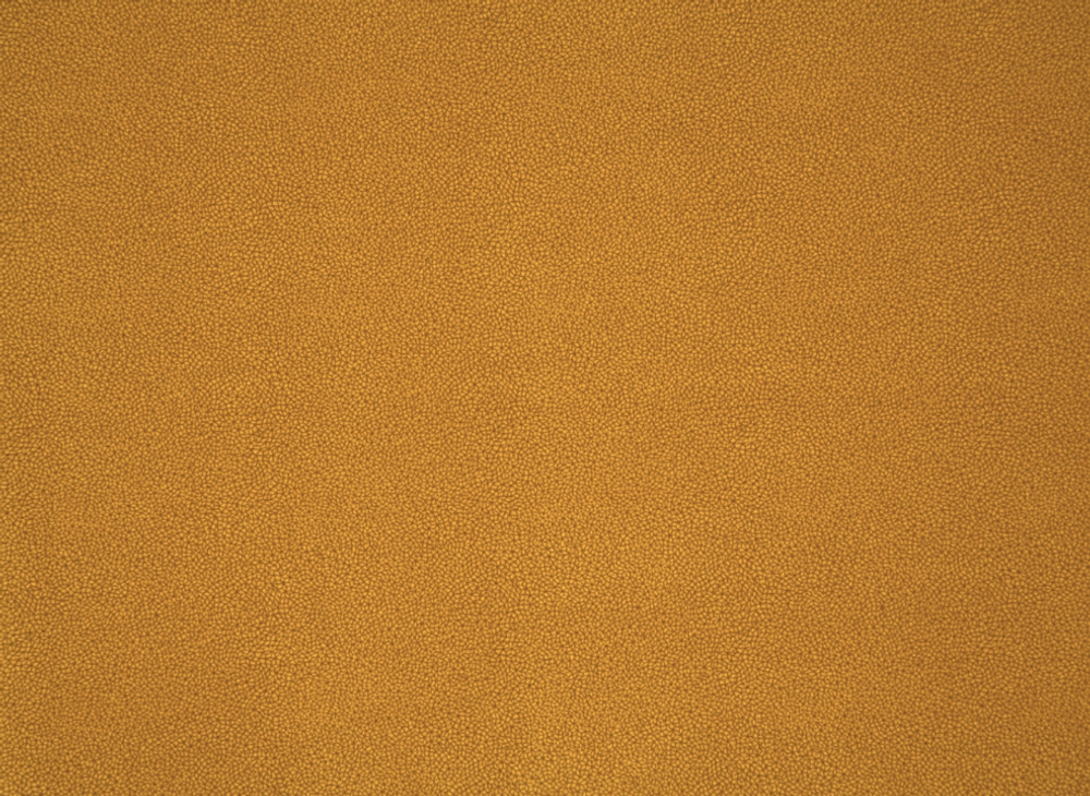 Микровелюр Elari (Элари) 5