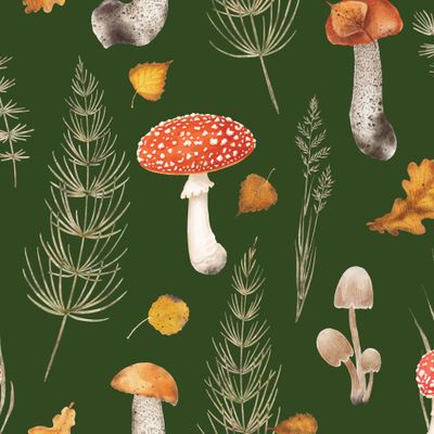 Хвощи и мухоморы зеленый