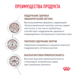Royal Canin Gastrointestinal Moderate Calorie Гастроинтестинал Модерейт Кэлори Корм влажный диета для кошек склонных к набору веса соус 85г
