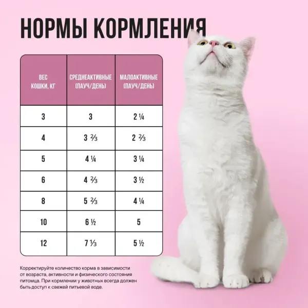 Пауч BOWL WOW для здоровой кожи и шерсти кошек с индейкой и шпинатом, кусочки в соусе