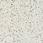 Pamesa Terrazzo Sagio 60x120