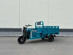 Грузовой электрический трицикл IKINGI CARGO PRO Q05 2000W (60V/45Ah) - Бирюзовый фото №1