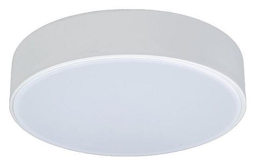 Накладной светильник Loft it 10002/12 White