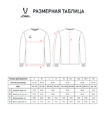 Футболка баскетбольная с длинным рукавом DIVISION PerFormDRY Pre-Match Longsleeve Jersey, красный