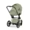 Детская коляска Cybex Priam V Style 2 в 1 Sage Green