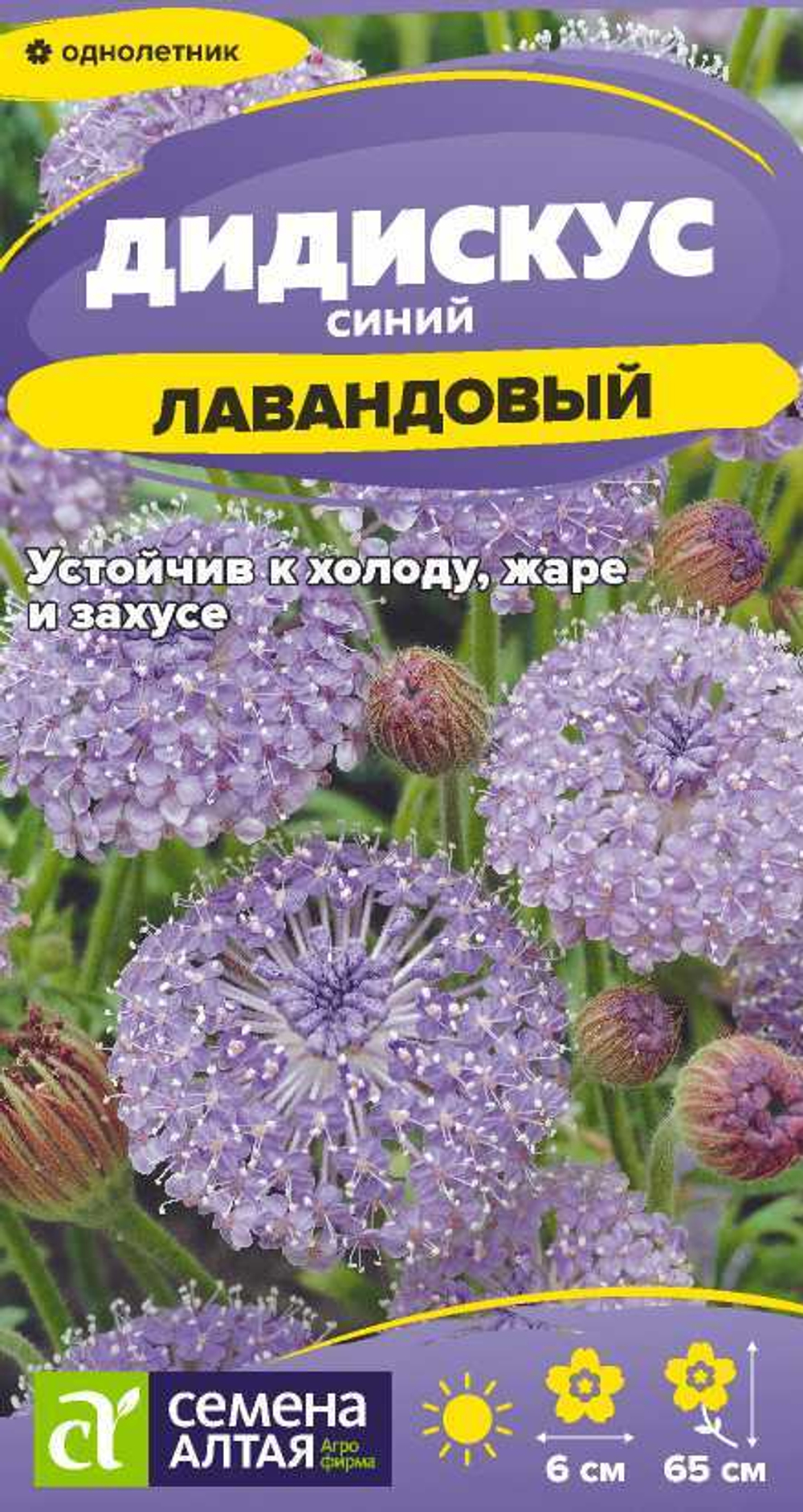 Дидискус лавандовый 0,05 гр (Семена Алтая)