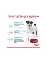 ROYAL CANIN Mini Starter Mother & Babydog (Роял Канин Мини Стартер Мазер Бэбидог) корм сухой для собак 20 кг.