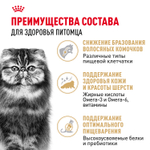 Royal Canin Persian Adult Персиан Эдалт Корм сухой для взрослых кошек породы персидская от 12 месяцев 4кг