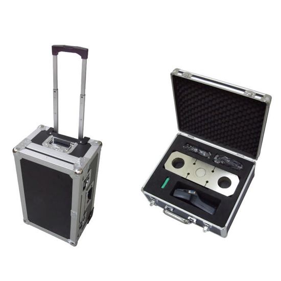 Весы крановые ПетВес КВ-50Т-10 с ПДУ 280