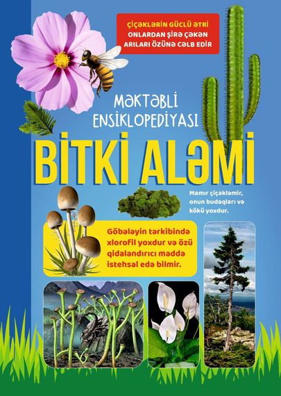 Bitki aləmi
