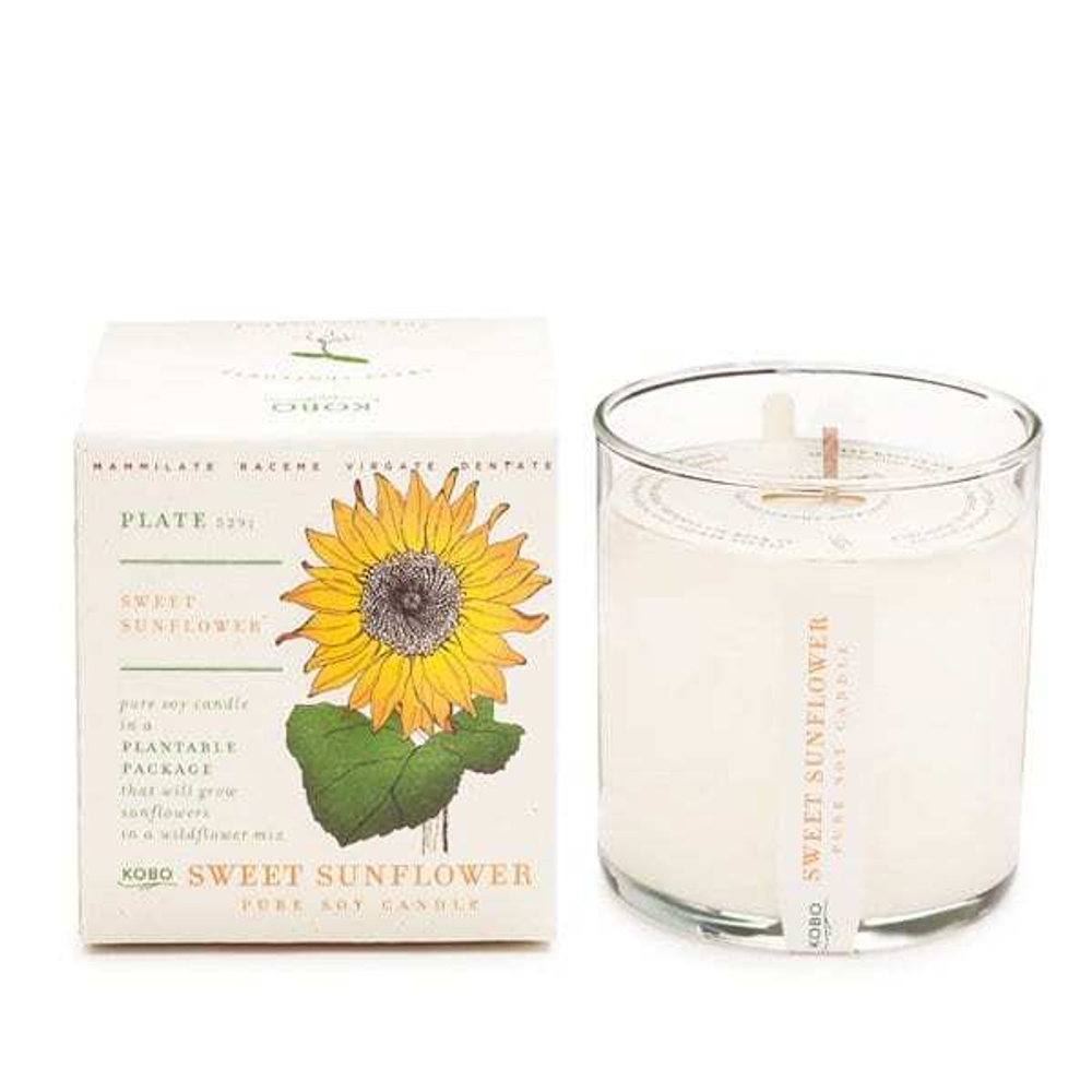 SWEET SUNFLOWER