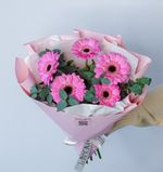 Гербера мини "S"