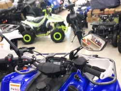 Квадроцикл MOTAX Grizlik 200 Ultra