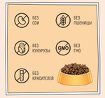 Корм для кошек сухой ZILLII Cat Adult Indoor 2кг, для домашних животных, с индейкой и ягнёнком