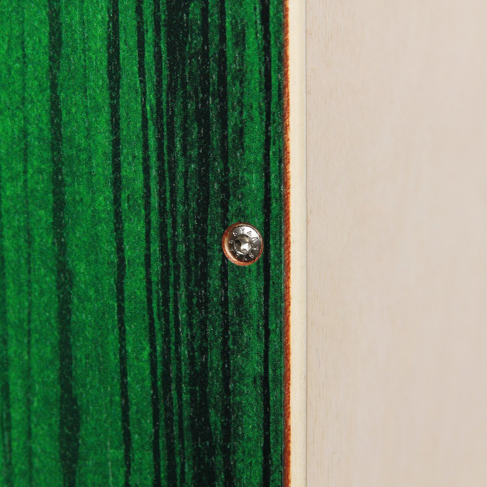 SELA SE 131 EN Cajon Varios Bundle Green (рюкзак, обучающее пособие, коврик на сиденье в комплекте)