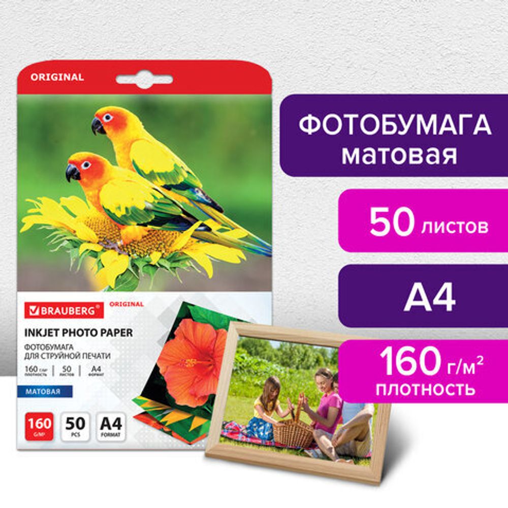 Фотобумага матовая, А4, 160 г/м2, односторонняя, 50 листов, BRAUBERG ORIGINAL, 363985