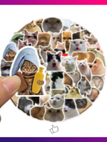 Наклейки на телефон котики многоразовые 50 шт