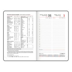 Ежедневник датированный А6 BRAUBERG "Rainbow" (117257) 10