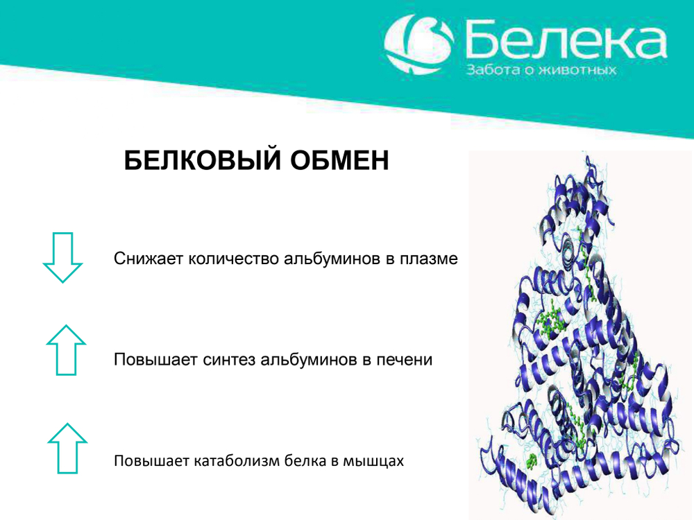 Дексалека (аналог дексафорта), раствор для инъекций, 100 мл