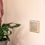 Выключатель одноклавишный (шампань рифленый) W1110010