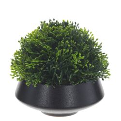 GAEM Цветочная композиция "Самшит", L12 W12 H11 см