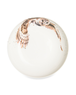 Тарелка для пасты 22см Royal Worcester Забавная фауна Сова