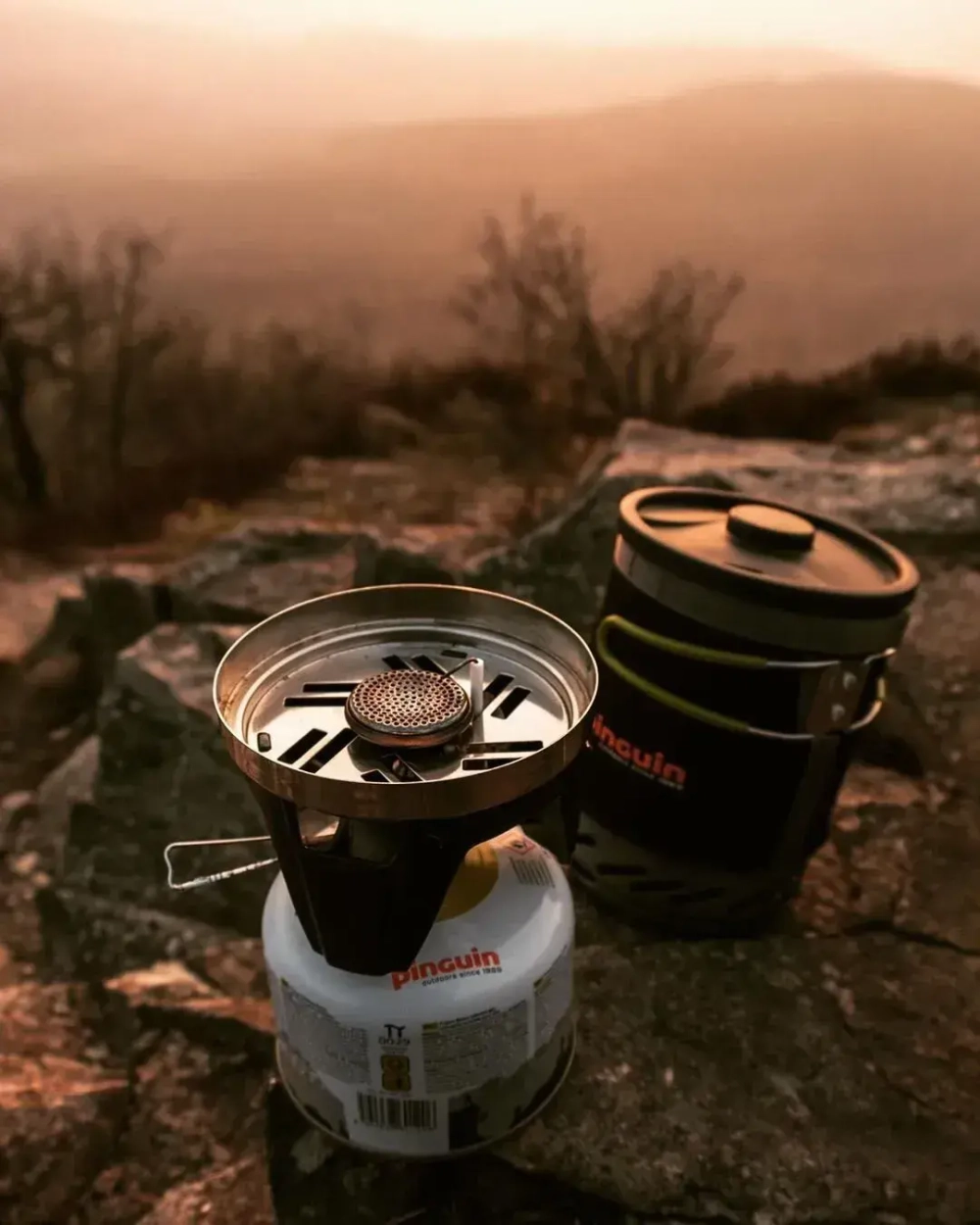 Система приготовления пищи Pinguin Aura